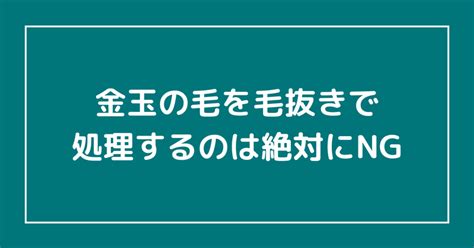 きんたまに毛|金玉の毛を毛抜きで処理するのは絶対にやめるべき3。